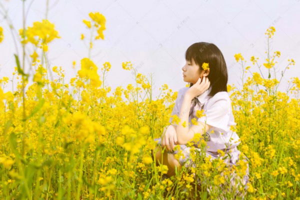 紫花杜鹃作用分析：中医草药的神奇之处